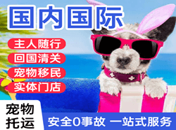 哈尔滨空运代理国际宠物托运 【国